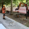 Presentazione dell’intervento e lavori in viale Miramare (foto Silvano)