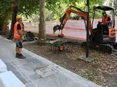 Presentazione dell’intervento e lavori in viale Miramare (foto Silvano)