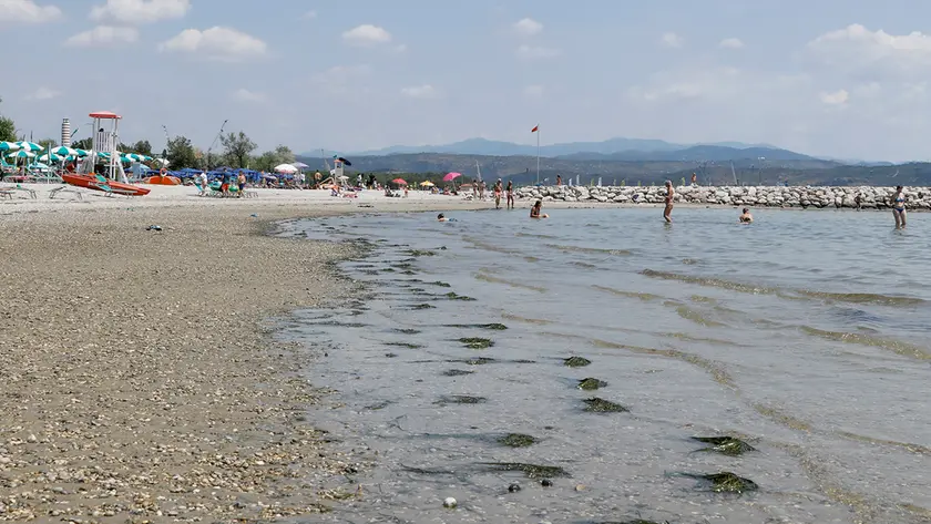 Alghe “spiaggiate” a Marina Julia Foto Bonaventura