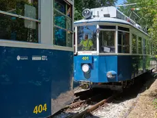 Due vetture del tram di Opicina (Silvano)