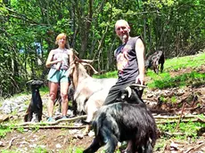 Ivo Romanelli con la compagna e le capre: ogni animale ha il nome di un mito dell’heavy metal