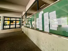 Il tabellone con gli esiti della maturità