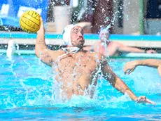 Benedek Baksa, neoacquisto della Pallanuoto Trieste Foto Cinardo