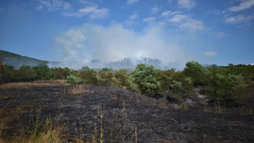 Fumo e terra bruciata sul Carso (Lasorte)