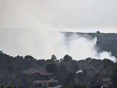 L'incendio sul Carso fotografato da Andrea Lasorte