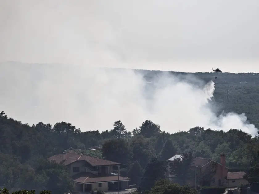 L'incendio sul Carso fotografato da Andrea Lasorte