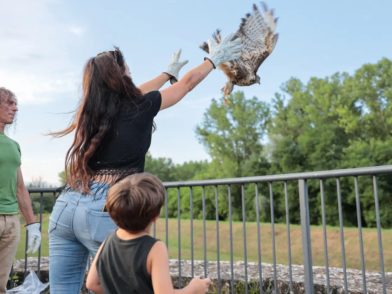 La liberazione di un rapace a Gradisca (foto di Daniele Tibaldi)