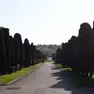 Trieste - cimitero di S. Anna