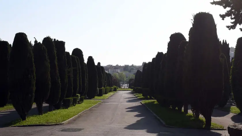 Trieste - cimitero di S. Anna