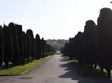 Trieste - cimitero di S. Anna
