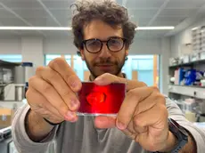 Sasso mostra il materiale oggetto della sua ricerca
