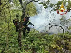 I vigili del fuoco in azione a Monrupino