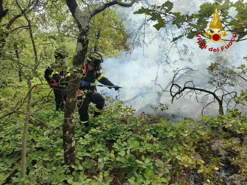 I vigili del fuoco in azione a Monrupino