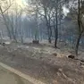 Dopo il rogo di Smoquizza (Figarola), foto Slobodna Dalmacija