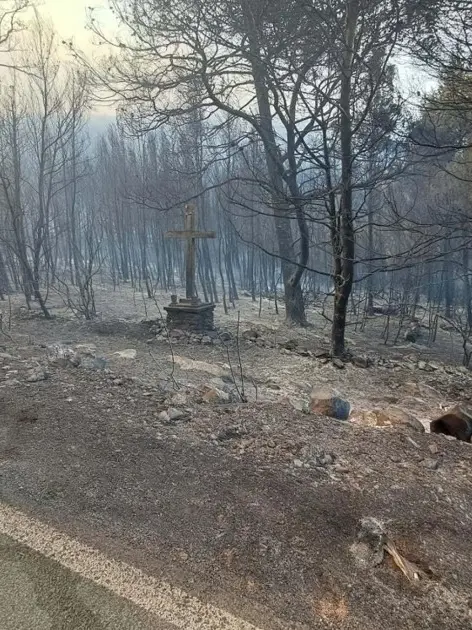 Dopo il rogo di Smoquizza (Figarola), foto Slobodna Dalmacija