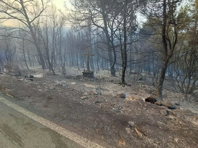 Dopo il rogo di Smoquizza (Figarola), foto Slobodna Dalmacija