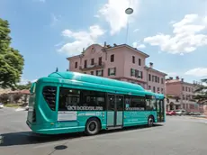 Autobus Apt in circolazione a Gorizia (Foto Tibaldi)
