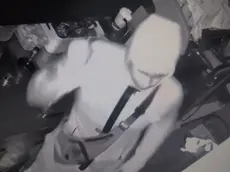 Il ladro in azione in un bar di Gradisca ripreso dalle telecamere