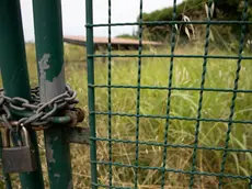 La villa romana a Staranzano (foto Katia Bonaventura)