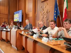L’assemblea elettiva del GectGo (foto Tibaldi)