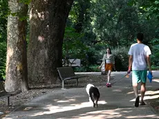 Il Giardino pubblico (foto Francesco Bruni)