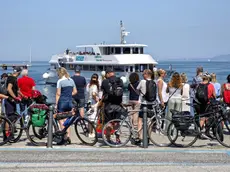Il Delfino Verde è molto richiesto dai cicloturisti Foto Lasorte