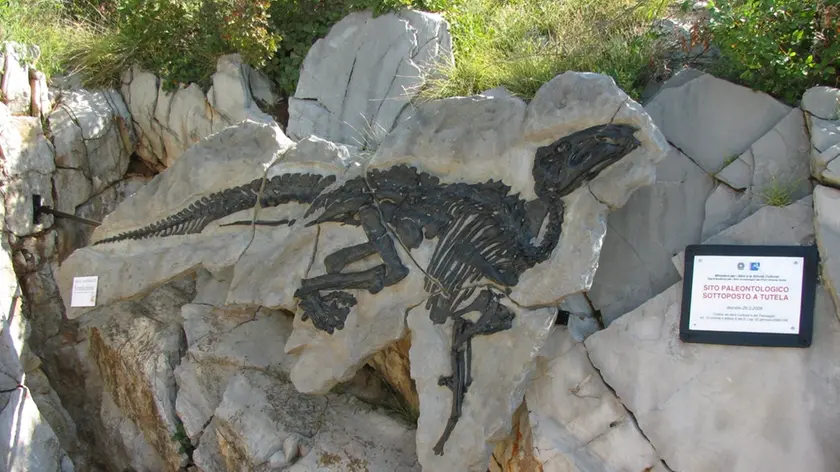 Il calco del dinosauro Antonio