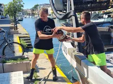 Pescatori al lavoro a Grado, mentre scaricano i prodotti ittici raccolti in mare