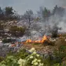 L'imponente incendio che ha devastato il Carso nell'estate del 2022. Foto Lasorte