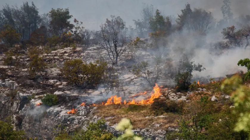 L'imponente incendio che ha devastato il Carso nell'estate del 2022. Foto Lasorte