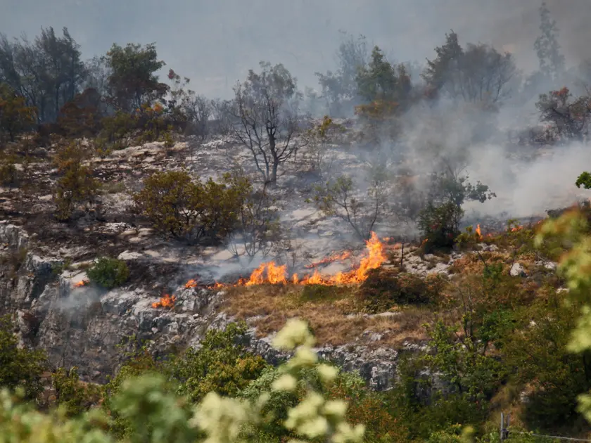 L'imponente incendio che ha devastato il Carso nell'estate del 2022. Foto Lasorte