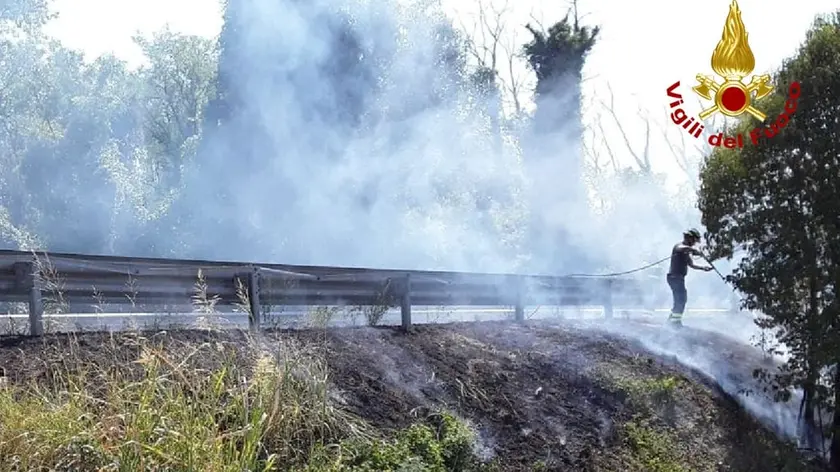 L'incendio nell'area boschiva a Pieris