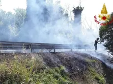 L'incendio nell'area boschiva a Pieris