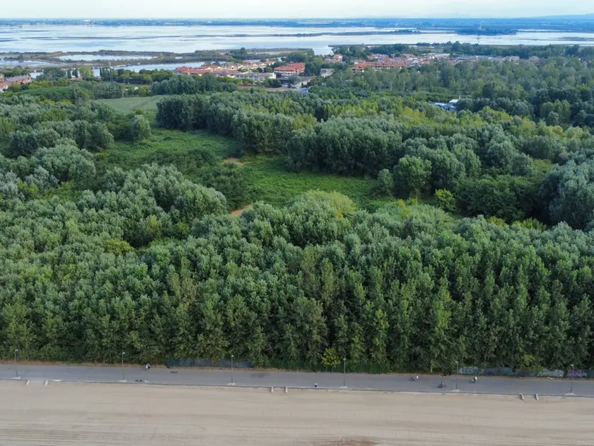 Una veduta aerea dell’area nota come Grado 3 dal drone di Giorgio Boemo