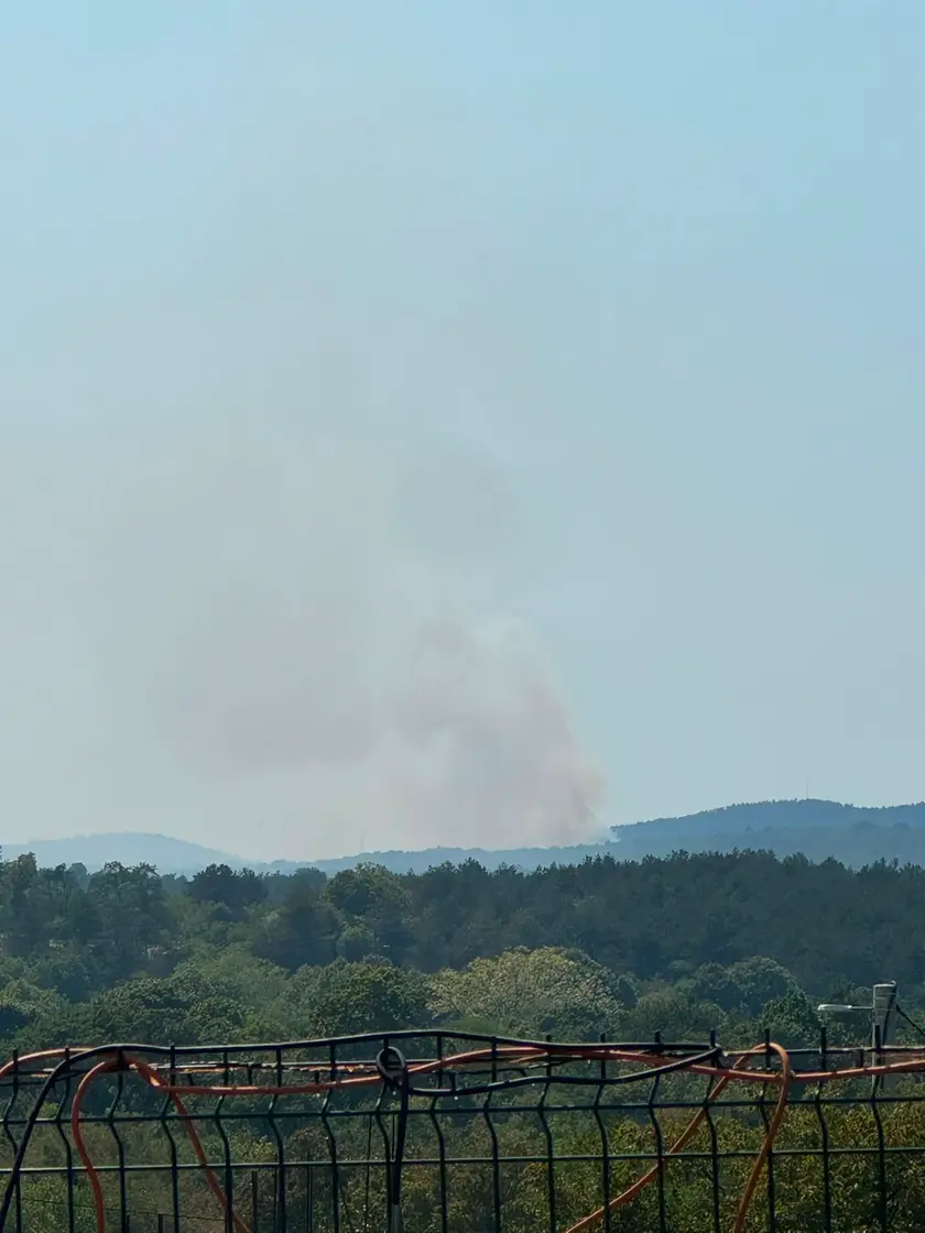 La colonna di fumo vista da lontano (foto Roberta Curellich)