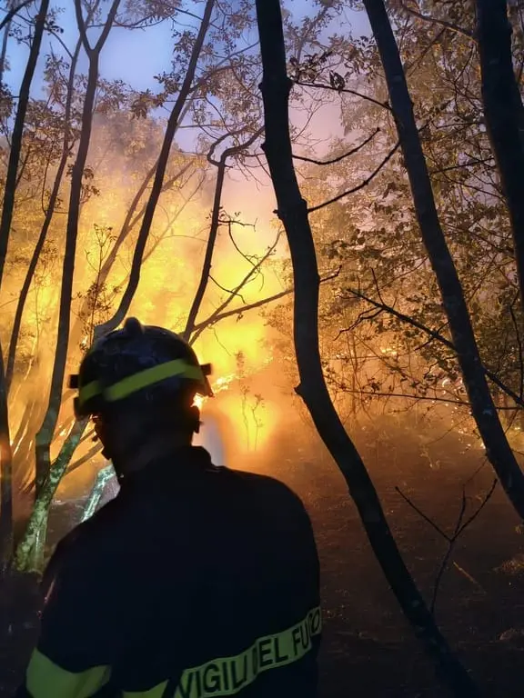 L'incendio sul Carso