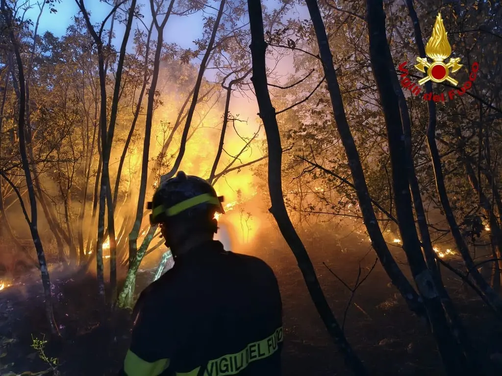 L'incendio sul Carso