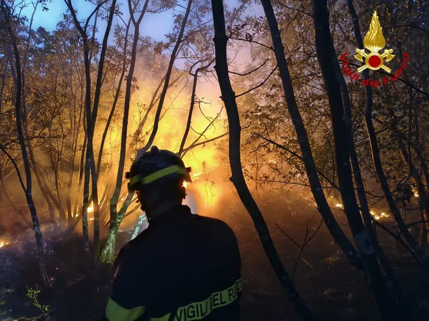 L'incendio sul Carso