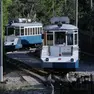 Il Tram di Opicina ripartito (Lasorte)