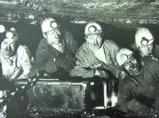 Minatori italiani a Marcinelle in una foto scattata nel 1956, poco prima della tragedia