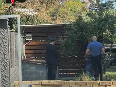 I militari dell'Arma durante l'intervento. Foto carabinieri Gorizia