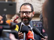 Stefano Patuanelli, senatore e vicepresidente del M5s