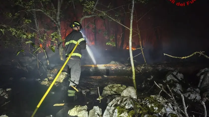 Vigili del fuoco in azione in una foto di repertorio
