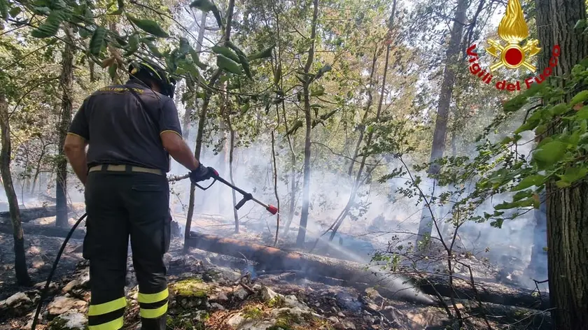 L'incendio a Gropada