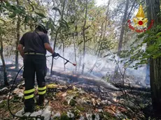 L'incendio a Gropada