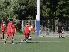 Gli alabardati al lavoro foto Lasorte