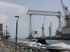 La gru Goliath in riva alla banchina del porto (foto Bonaventura)