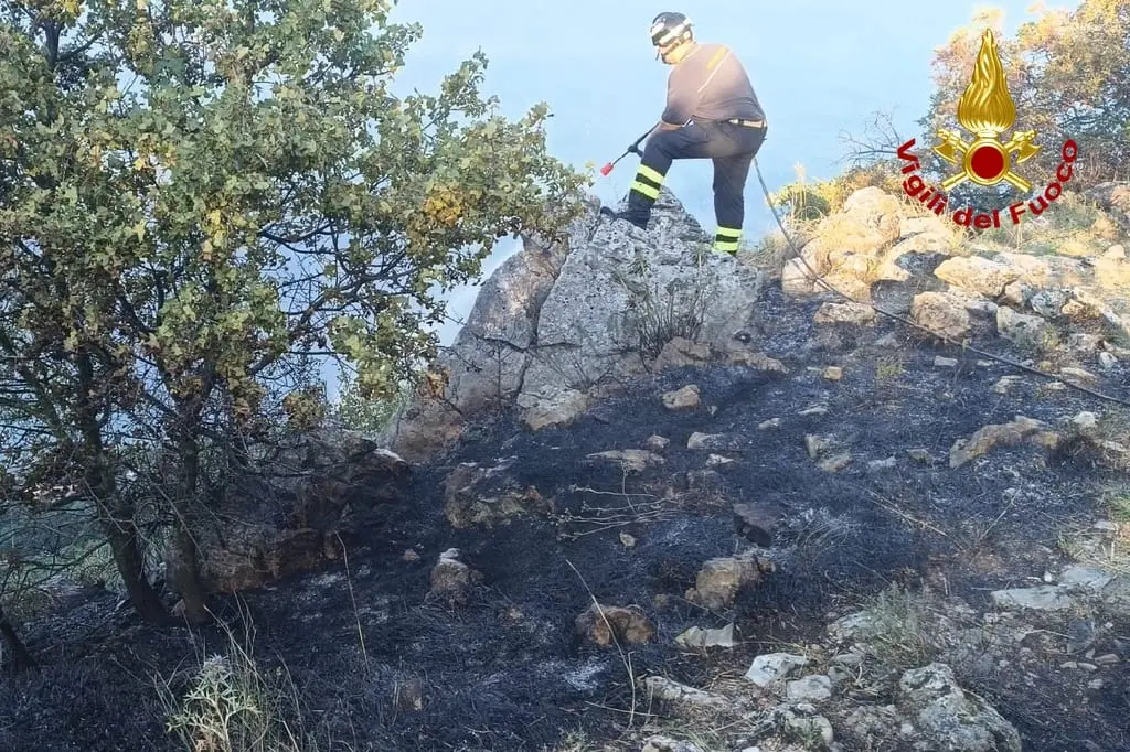 L'incendio di sterpaglie sul litorale triestino