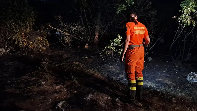 Corpo forestale al lavoro per l'incendio a Col di Monrupino