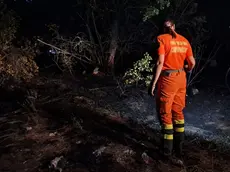 Corpo forestale al lavoro per l'incendio a Col di Monrupino